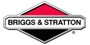 Briggs Stratton