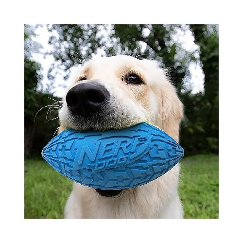 Pelota de rugby para perros - Nerf Dog