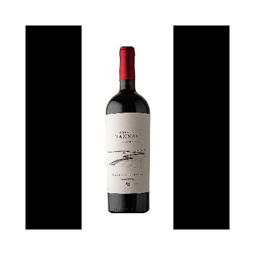 VINO PUEBLO TANNAT ANFORA TANNAT 750 ML