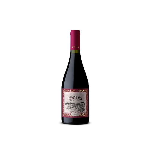 VINO ESTANCIA USPALLATA IGNEO 750 ML