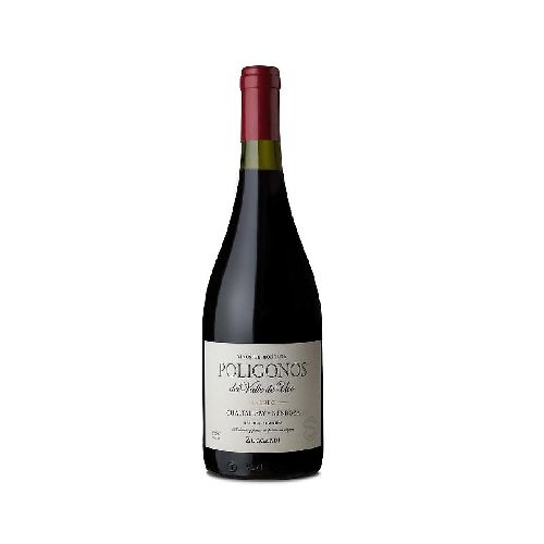 VINO ZUCCARDI POLIGONO GUALTALLARY MALBEC 750 ML