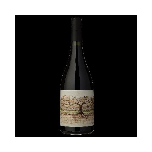 VINO ALMACEN DE LA QUEBRADA CACHI 750 ML