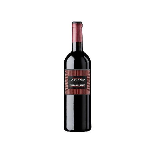 VINO LA PLANTA 750 ML