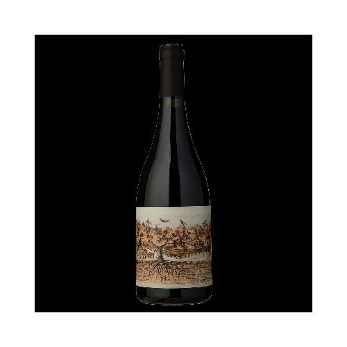 VINO ALMACEN DE LA QUEBRADA PUCARA 750 ML