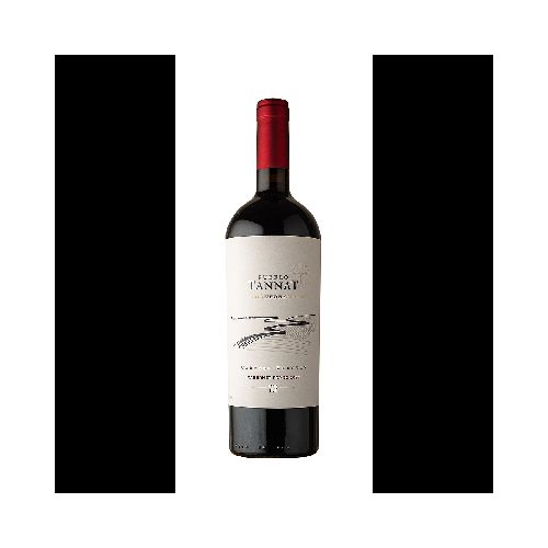 VINO PUEBLO TANNAT ANFORA CABERNET FRANC 750 ML