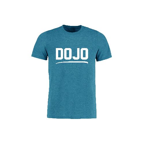 Remera Dojo Celeste