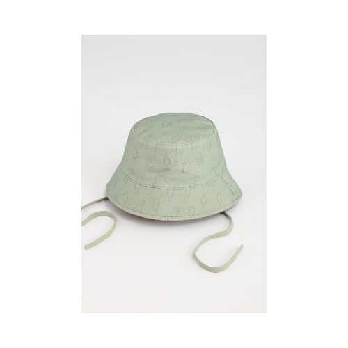 Gorro canvas estampado - Dinosaurio verde