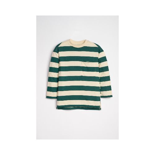 Remera Manga larga Rayado - Verde y Beige