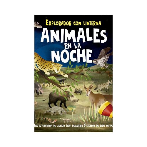 Explorador Con Linterna. Animales En La Noche