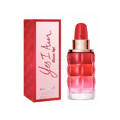 Perfume Cacharel Yes I Am Bloom Up! Edp 50ml