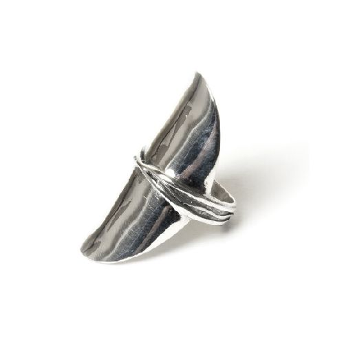 Anillo Armadura