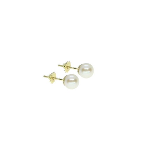 Caravanas en oro 18k con perlas de cultivo de 6.5mm