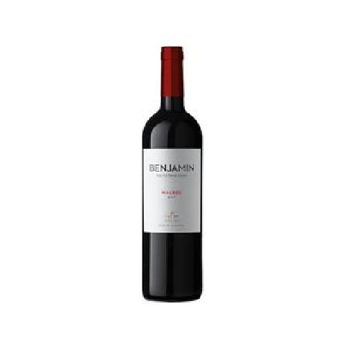 Vino Benjamin Nieto Malbec 750C