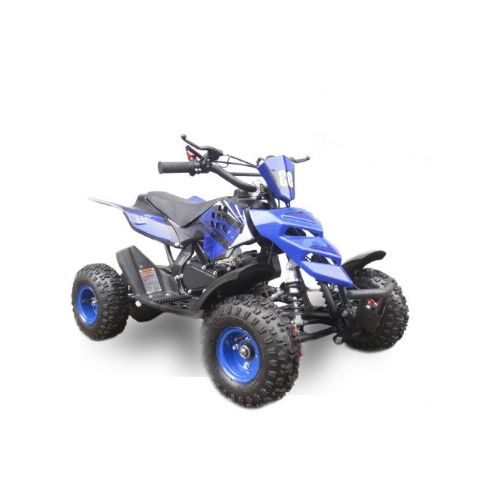 Moto Cuatriciclo Mini Niño Rex Pro Racing 50cc ( 2 Tiempos ) - Azul