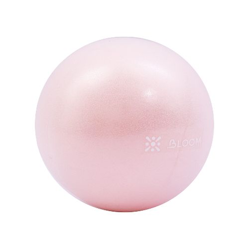 Mini Pelota de Pilates Yoga Rehabilitación 20cm PRO LIVEPRO