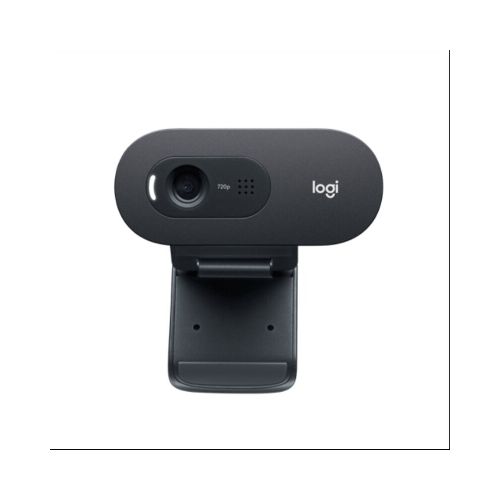 Cámara Web Logitech C505 HD Negra