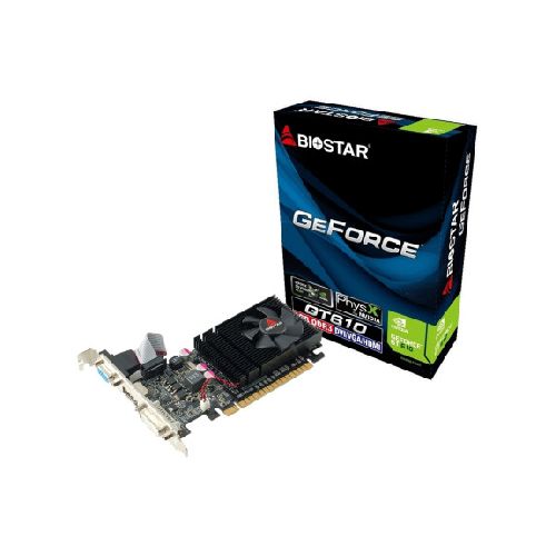 Tarjeta Video Biostar GT610 2GB D3