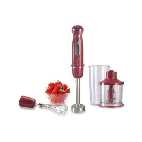 Mixer Vertical Con Accesorios Punktal Pk596 Ma