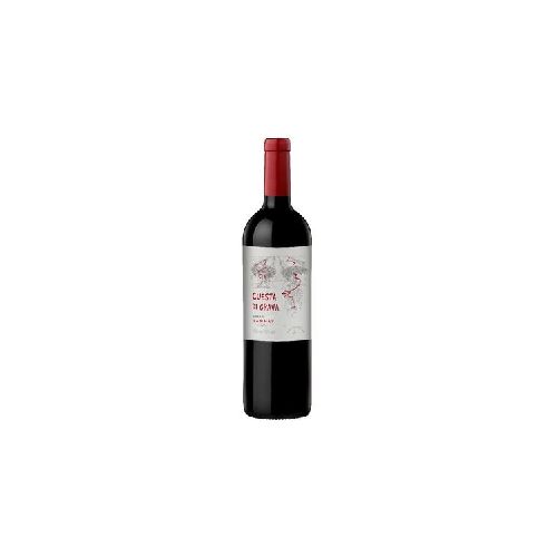 Vino Tinto Tannat Roble CUESTA DI GRAVA 3 L