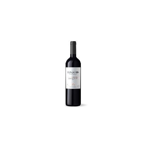 Vino Tinto Benjamin NIETO SENETINER Syrah 750 ml