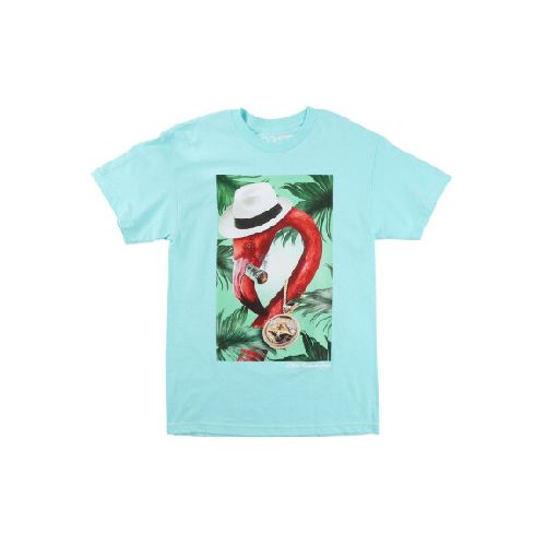 REMERA LRG FLAMINGO CELADON - Light blue/Multco