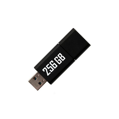 Pendrive 256GB