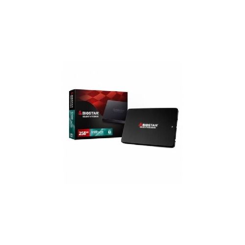 Disco SSD Biostar S100 256GB