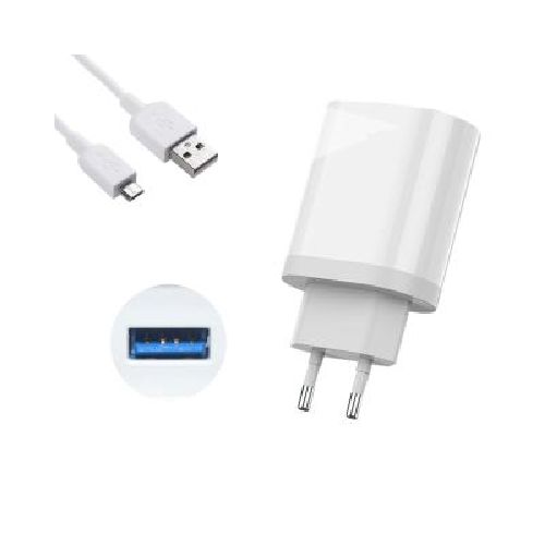 Cargador + cable Tipo Micro-USB TS