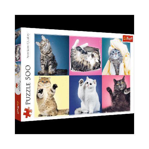 Puzzle Kitten 500 piezas Trefl 