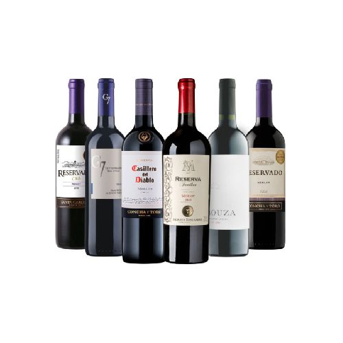 VINO MERLOT X 6 PROMO ALVEAR - Alvear