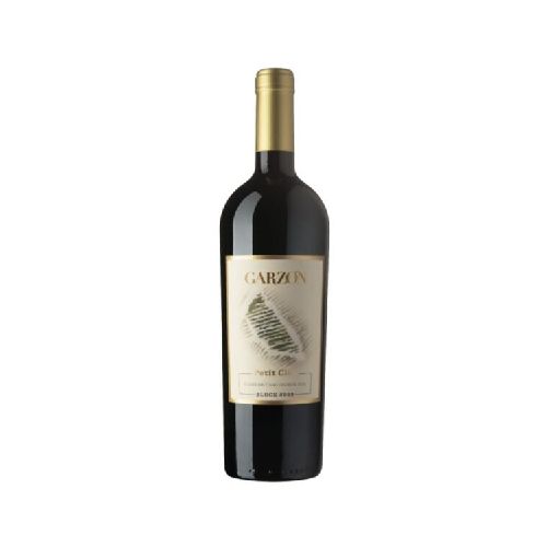 VINO GARZON PETIT CLOS CABERNET SAUVIGNON MAGNUM 1.5 LT - Alvear