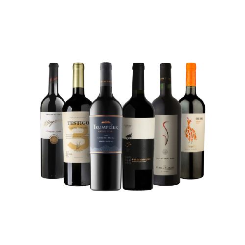 VINO CABERNET FRANC X 6 PROMO 1 ALVEAR - Alvear