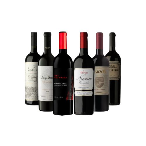 VINO CABERNET FRANC X 6 PROMO 2 ALVEAR - Alvear