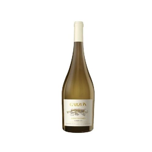 VINO GARZON SINGLE VINEYARD ALBARIÑO MAGNUM 1.5 LT - Alvear