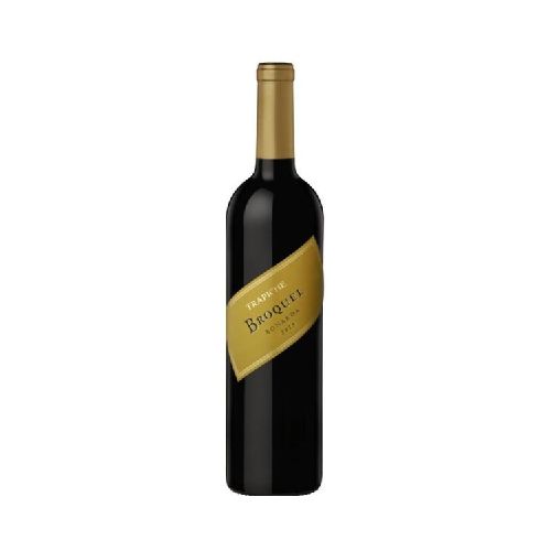 VINO TRAPICHE BROQUEL BONARDA 750 ML - Alvear