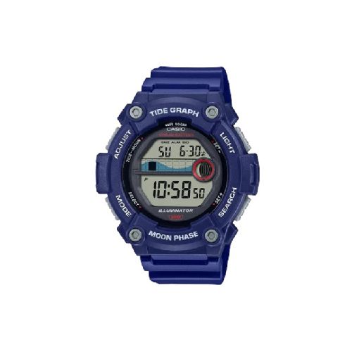 Reloj Casio WS-1300H-2A