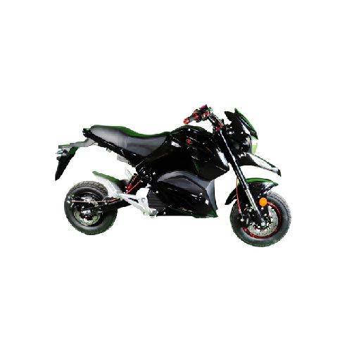 Moto Electrica MONSTER 1200w 14