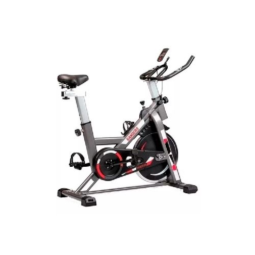 Bicicleta de Spinning Randers ARG-874SP 13Kg