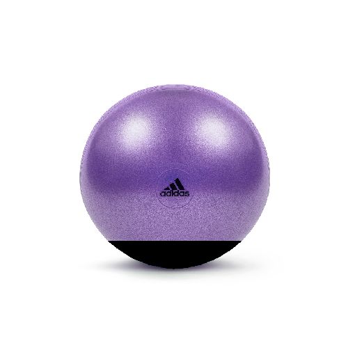 Pelota De Pilates ADIDAS 65cm Con Inflador — NETPC