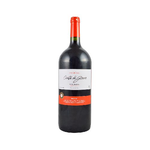 Vino tinto CUESTA DIGRAVA Malbec 1.5 L - Géant