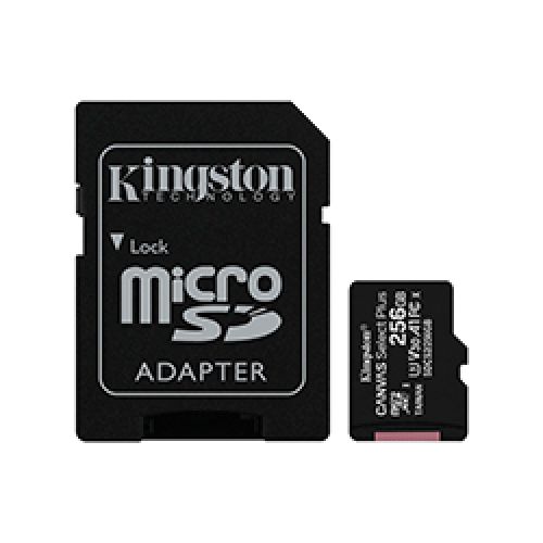 Memoria Micro Sd Kingston Canvas Select Plus 256gb  