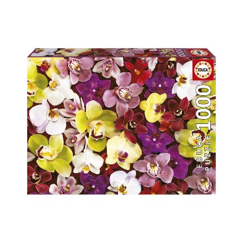 Rompecabezas Educa Puzzle Collage De Orquideas 1000 Piezas — Atrix