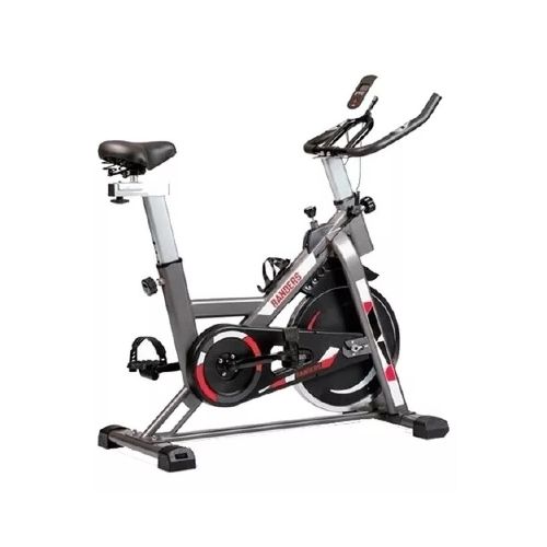 Bicicleta spinning Randers ARG-874SP Disco 13 kg — Randers