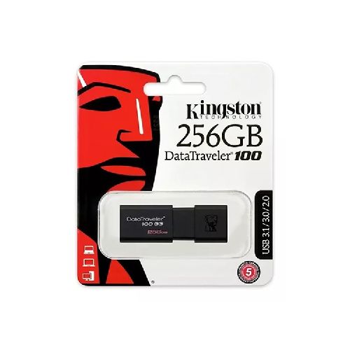 Pen Drive 256 GB Kingston