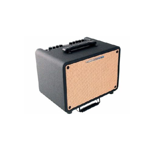 Amplificador De Guitarra Acústica Ibanez 30 Watts