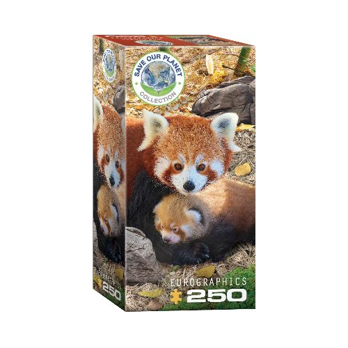 EUROGRAPHICS - PUZZLE DE 250 PIEZAS RED PANDAS