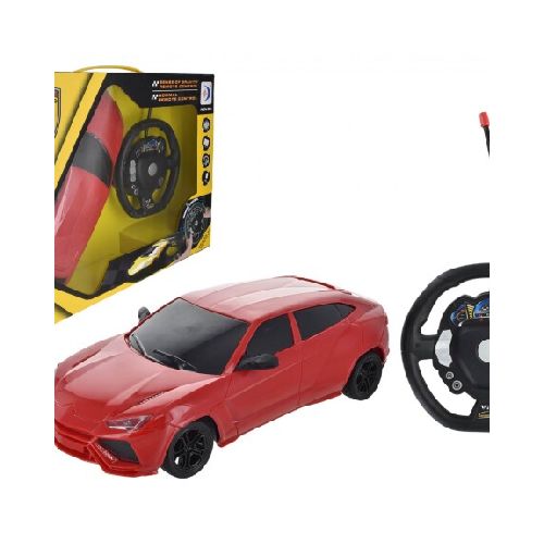 AUTO DEPORTIVO CON RADIO CONTROL RD310-5